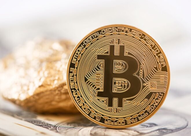 The Pros and Cons of Switching to a Fully Digital Payment Wallet